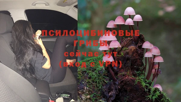 ALPHA PVP Арсеньев