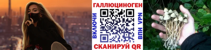 blacksprut ссылка  купить  цена  Сосногорск  Псилоцибиновые грибы Psilocybine cubensis 